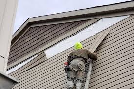 Professional Siding in Sorgho, KY